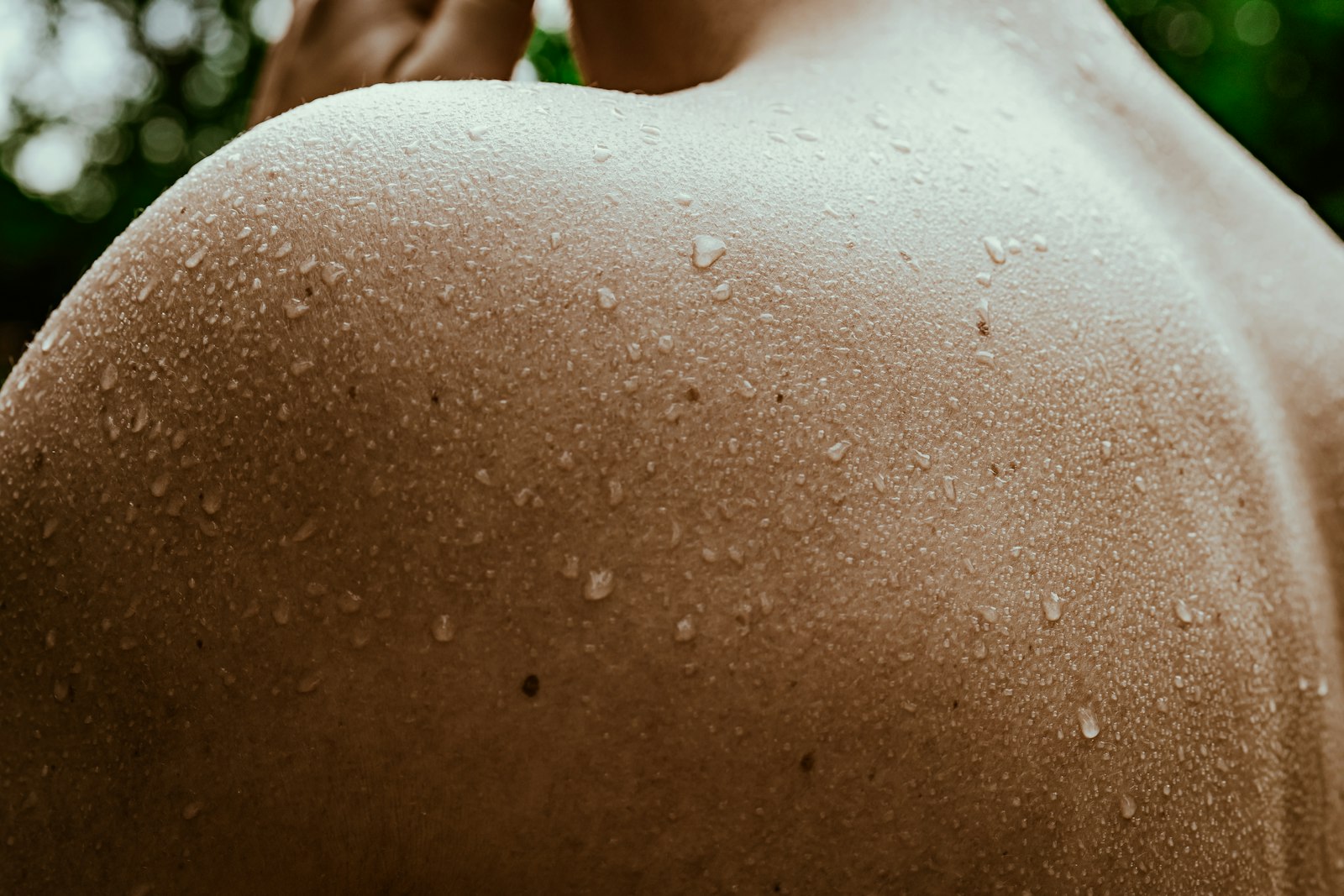 Best Ice Bath Benefits Supplements, Ranked
